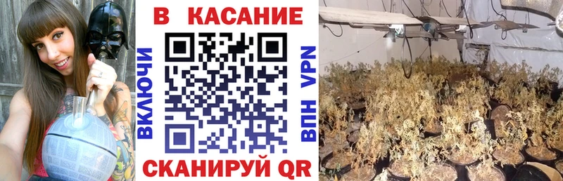 Купить Галлюциногенные грибы  АМФ  Меф  COCAIN  Каннабис  Коркино