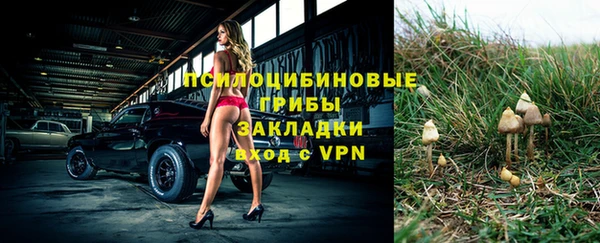 ALPHA-PVP Гусиноозёрск