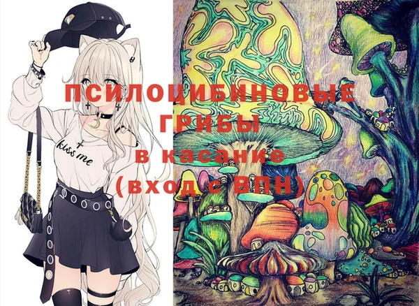 мескалин Гусев