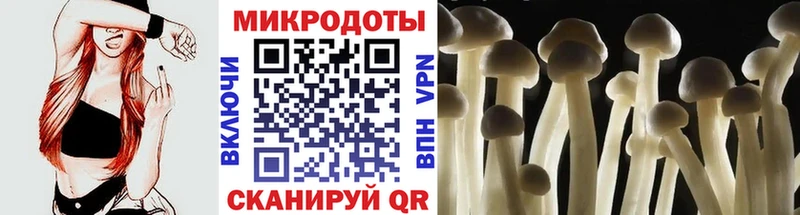 Купить где  Коркино  Галлюциногенные грибы мухоморы 